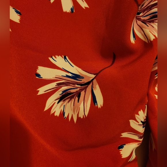 EUC Express pants - Picture 3 of 5